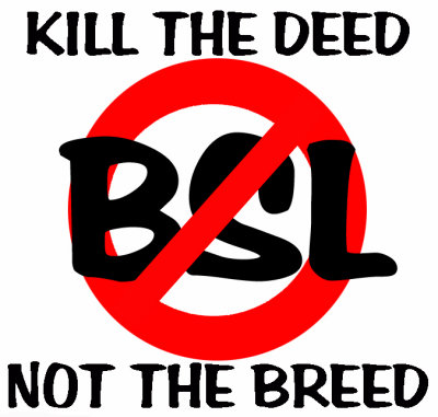 kill the deed BSL 1.jpg