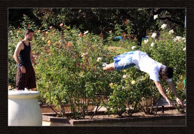 Jumping over roses...