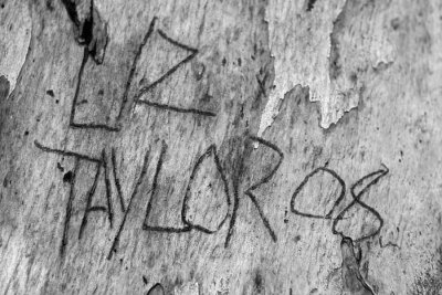 What I Found on Florida Street