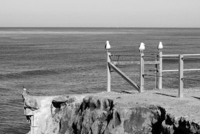 The Breakfast Club Meets on Sunset Cliffs