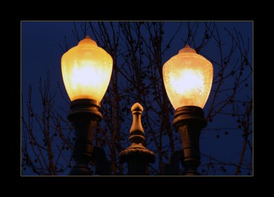 A streetlamp on Park Boulevard