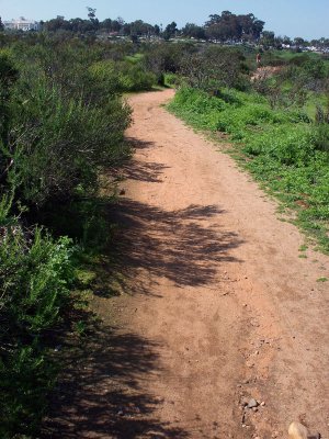 One of the easier sections of the trail