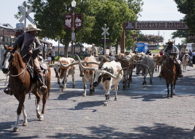 Fort Worth Stockyards