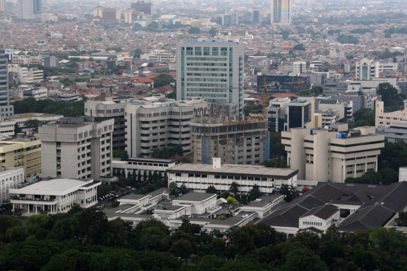 view