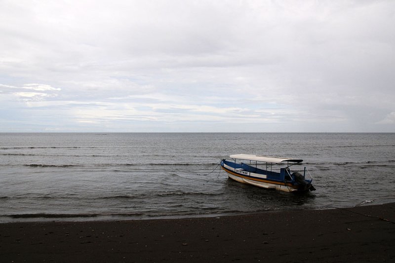 DSC_3993.jpg