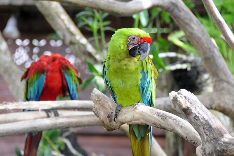 DSC_3223.jpg