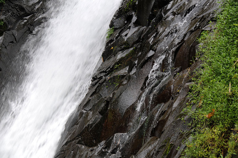 DSC_4130.jpg