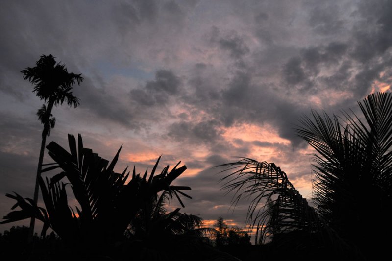 sunset in Ubud