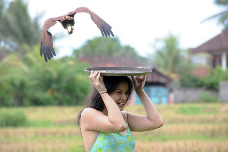 DSC_3682.jpg