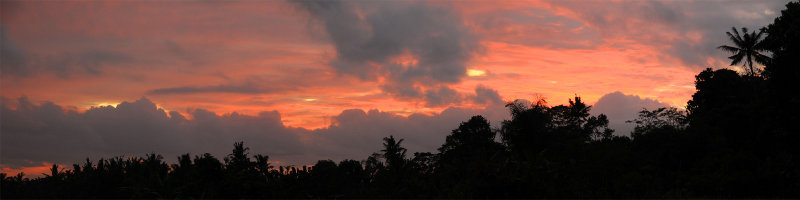 Bali - Ubud