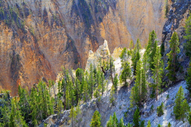 Yellowstone Canyon