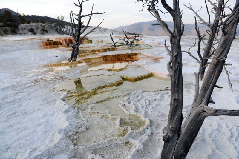 Mammoth Hot Springs, Travertine-Terraces