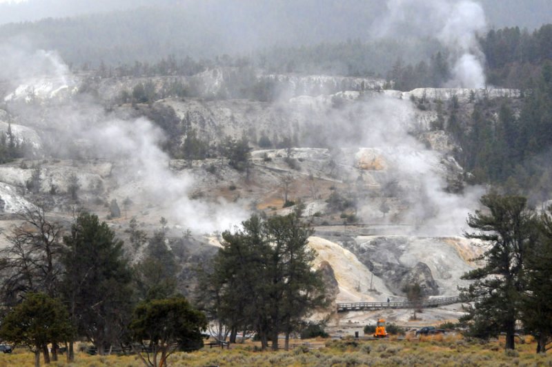 Mammoth Hot Springs