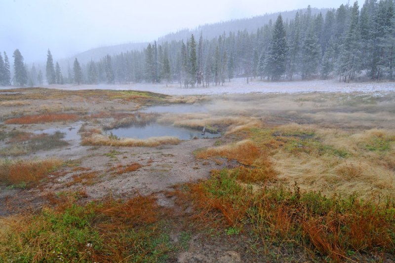 Norris Geyser Basin