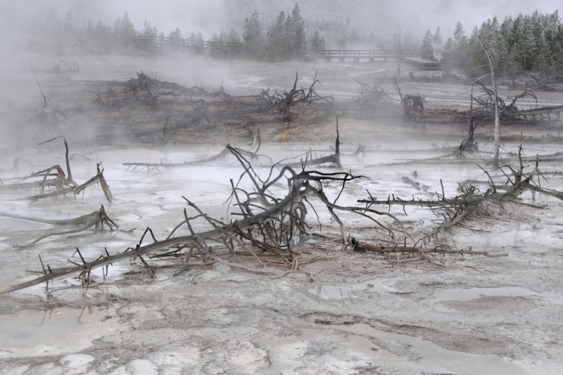 Norris Geyser Basin