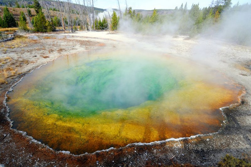 Morning Glory Pond