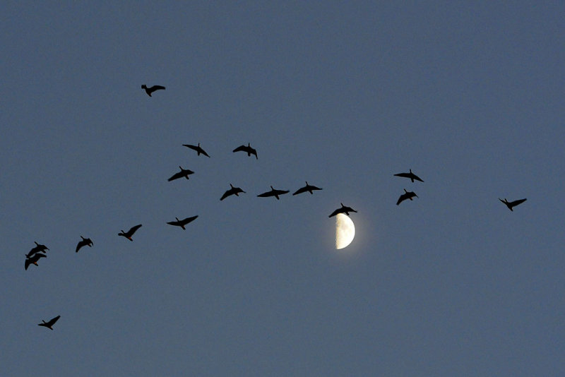 DSC_4768.jpg