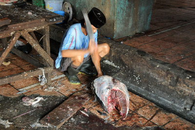 Pasar Ikan/Fish Market
