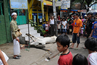 on the day of Idul Adha, Muslim festival