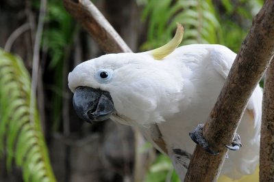 DSC_3229.jpg