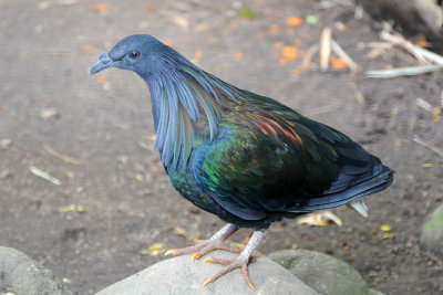 DSC_3455.jpg