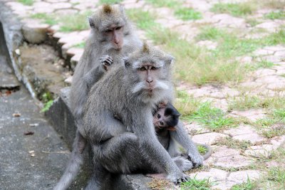 DSC_2043.jpg