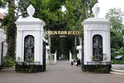 Bogor botanical garden