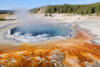 Yellowstone NP 2009