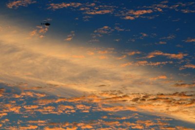 DSC_6369.jpg