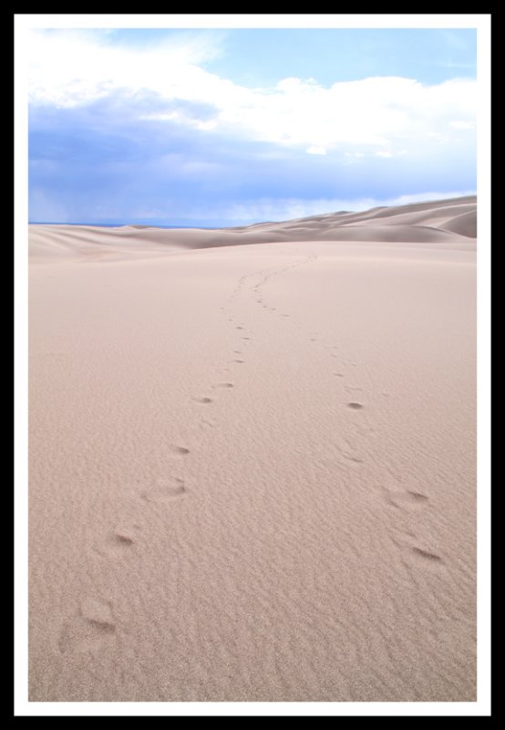 Footprints in the Sand_Vertical