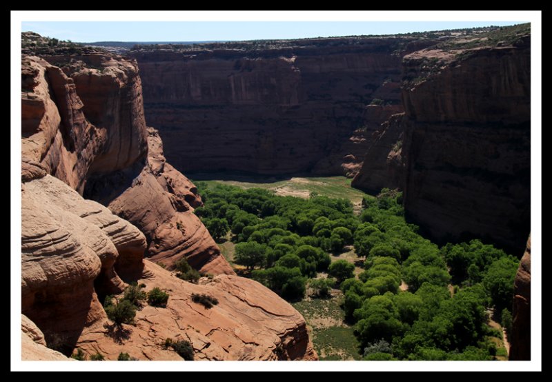 Tree Covered Valley Floor