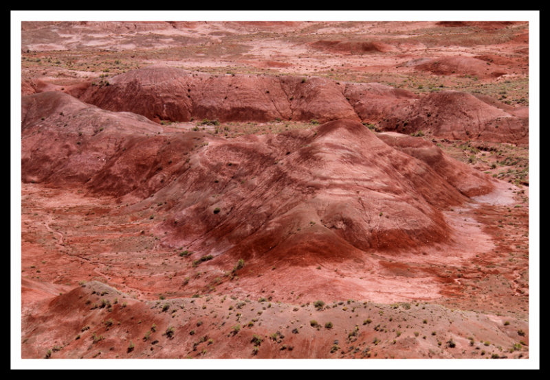 Reds of the Painted Desert