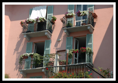Balconies and Flowers
