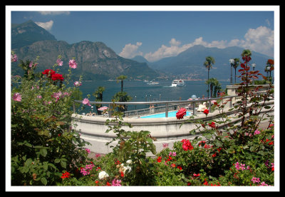 Flowers on Lago di Como