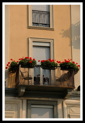 Metropole Suisse Window Baskets