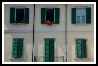 Red Flowers on Window Sill