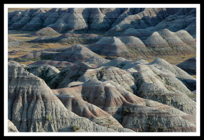 Shadows of the Desert