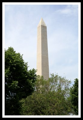 Washington Monument in Trees