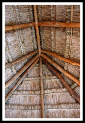 Thatch Roof