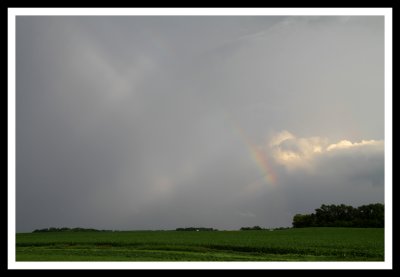 Rainbow Over Corn