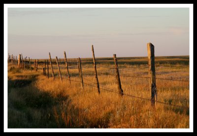 Old Fence on Country Road