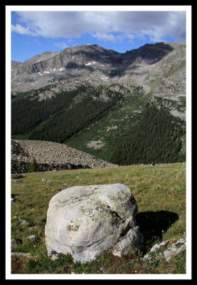 Alpine Rock
