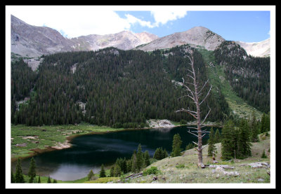 Tree and Dark Blue Mountain Lake