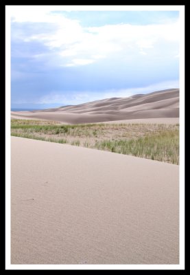 Dune and Grassy Area