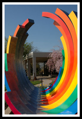 Circle of Color