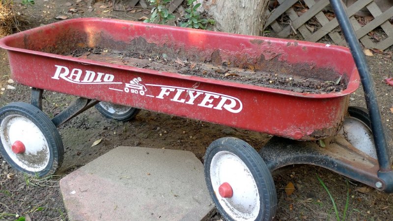 Radio Flyer