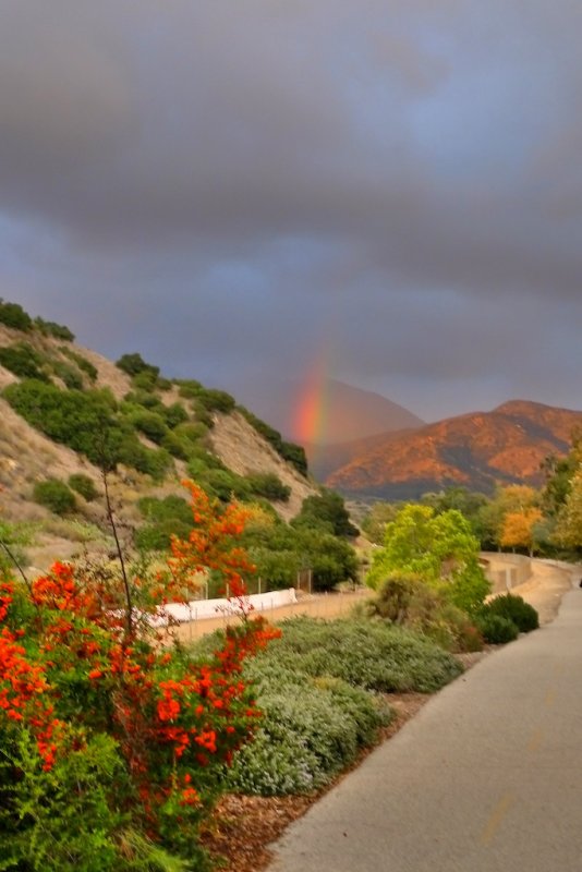 2010-11-21  A Rainbow.jpg