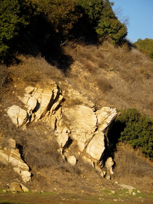 Nifty Outcrop