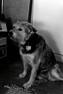 g1/78/459878/3/127745590.iAqJbSDG.jpg