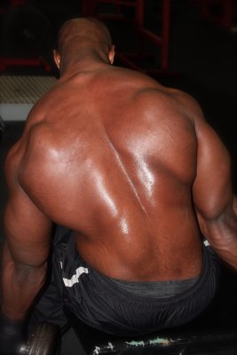 Back Workout